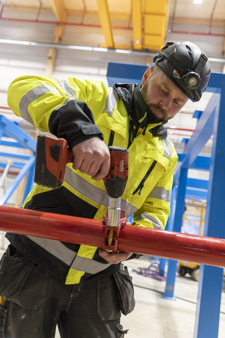 Magnus Engvall monterar utstick från en stam. Foto: Alexander von Sydow